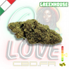 Fleur CBD & Muscimol | 14% | Fleur CBD & Muscimol | 14% |