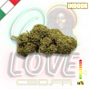 Fleur CBD Amnésia Haze | 11% | Fleur CBD Amnésia Haze | 11% |