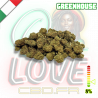 Fleurs CBD Small Buds Berries | 8% | Fleurs CBD Small Buds Berries | 8% |