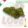 Fleur CBD BZ1 | 15% | Fleur CBD BZ1 | 15% |