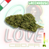 Fleur CBD Gorilla Glue | 8% | Fleur CBD Gorilla Glue | 8% |