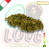 Fleur CBD Lemon Haze | 4% | Fleur CBD Lemon Haze | 4% |