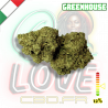 Fleur CBD Rainbow Kush | 12% | Fleur CBD Rainbow Kush | 12% |