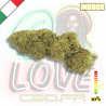 Fleur CBD Strawberry Haze Premium | 10% | Fleur CBD Strawberry Haze Premium | 10% |