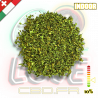 Trim CBD Micro Bud Premium | 10% | 