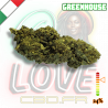 Fleur CBN & CBC Gelato Premium | 24% | 