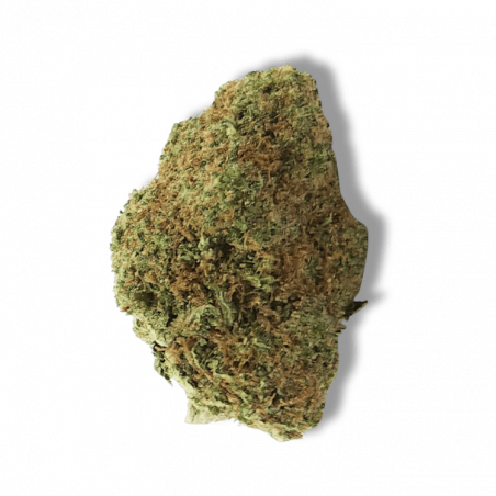 Fleur CBD Amnésia 2.0 Premium | 12% | Fleur CBD Amnésia 2.0 Premium | 12% |