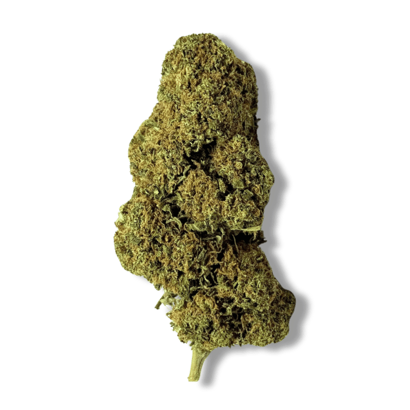 Fleur CBD Amnésia Haze | 11% | 