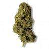 Fleur CBD Amnésia Haze | 11% | 