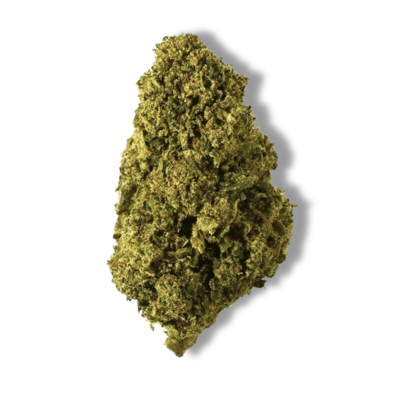 Fleur CBD Bubblegum | 16% | 