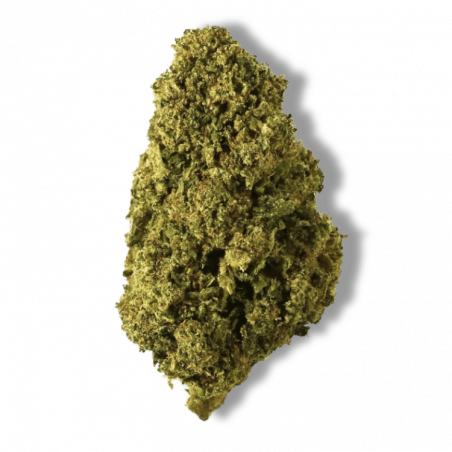 Fleur CBD Bubblegum | 16% | Fleur CBD Bubblegum | 16% |