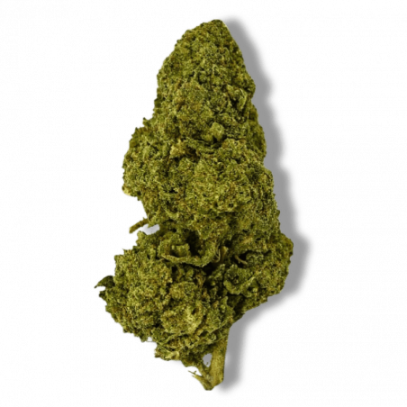 Fleur CBD BZ1 | 15% | Fleur CBD BZ1 | 15% |