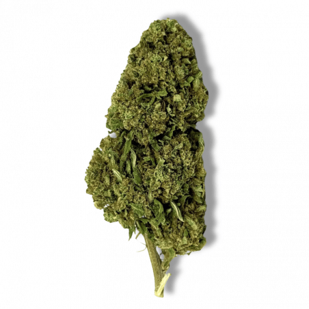 Fleur CBD Gorilla Glue | 8% | Fleur CBD Gorilla Glue | 8% |