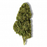 Fleur CBD Gorilla Glue | 8% | 