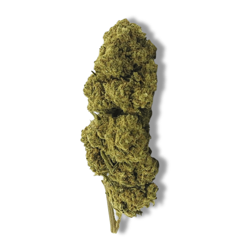 Fleur CBD Harlequin Premium | 10% | 