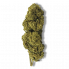 Fleur CBD Harlequin Premium | 10% | 