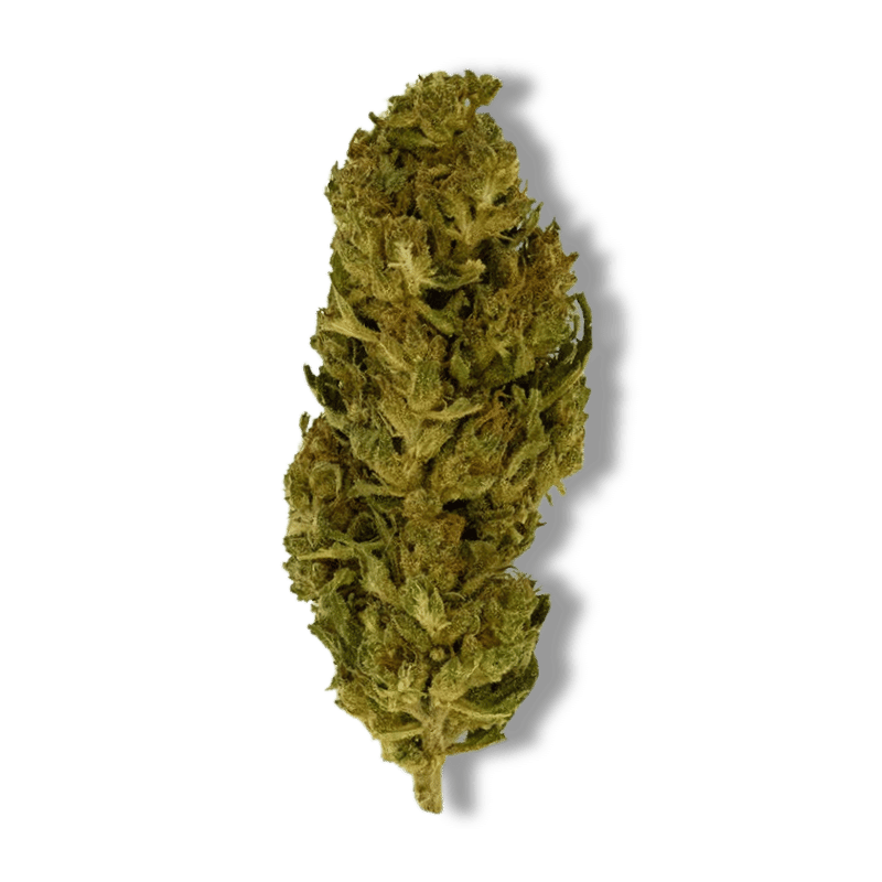 Fleur CBD Lemon Haze | 4% | 