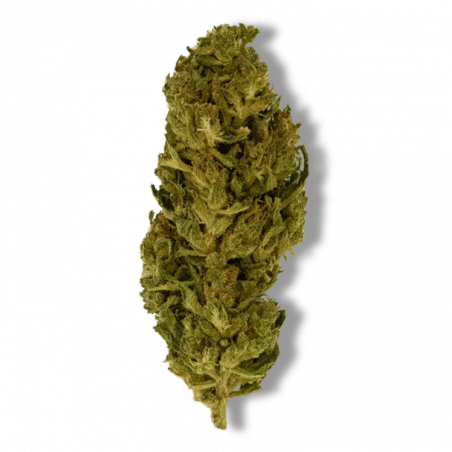 Fleur CBD Lemon Haze | 4% | Fleur CBD Lemon Haze | 4% |