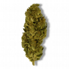 Fleur CBD Lemon Haze | 4% | 