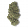 Fleur CBD Mandarine | 10% | 