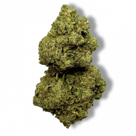 Fleur CBD Rainbow Kush | 12% | Fleur CBD Rainbow Kush | 12% |