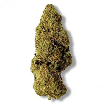 Fleur CBD Raspberry Haze Premium | 16% | Fleur CBD Raspberry Haze Premium | 16% |