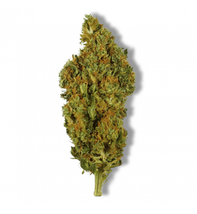Fleurs One Love CBD