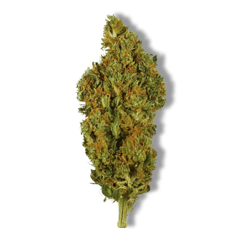 Fleur CBD Sherbet | 11% | 