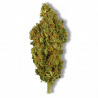 Fleur CBD Sherbet | 11% | 