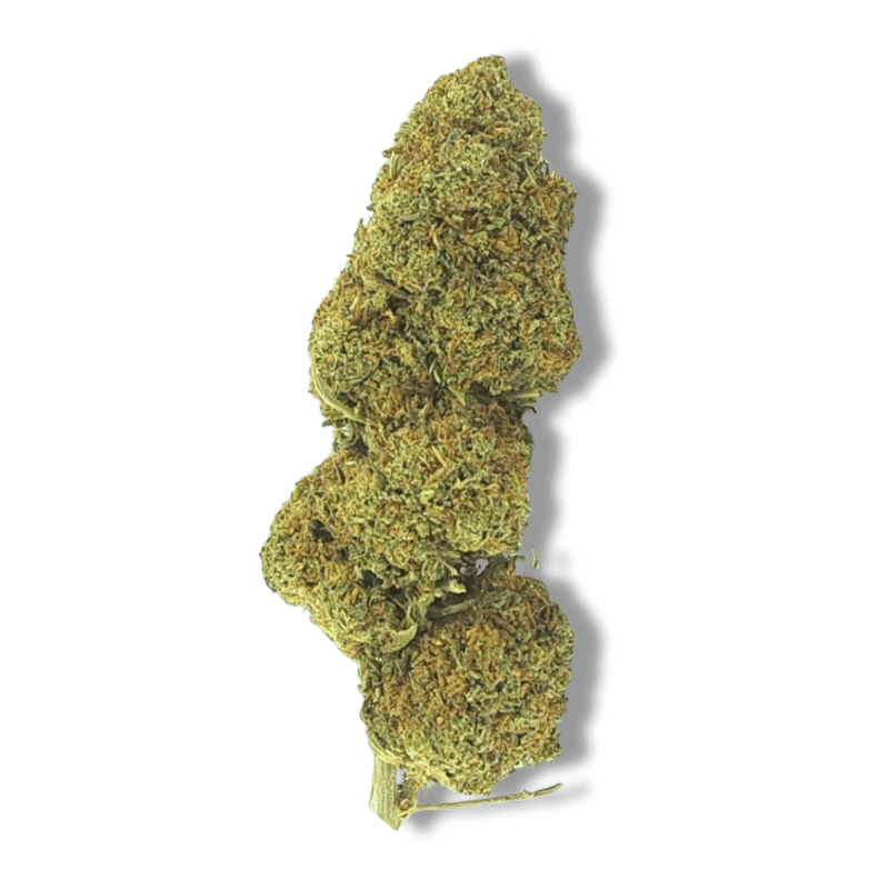 Fleur CBD Strawberry Haze Premium | 10% | 