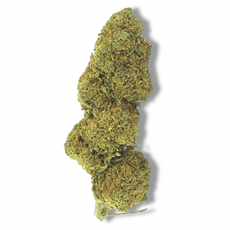 Fleur CBD Strawberry Haze Premium | 10% | Fleur CBD Strawberry Haze Premium | 10% |