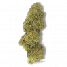 Fleur CBD Strawberry Haze Premium | 10% | 