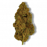 Fleur CBD Tonic Kush | 4% | 