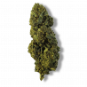 Fleur CBN & CBC Gelato Premium | 24% | 
