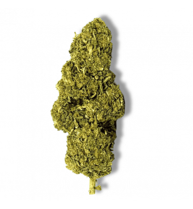 Delta BZ10 One Love CBD