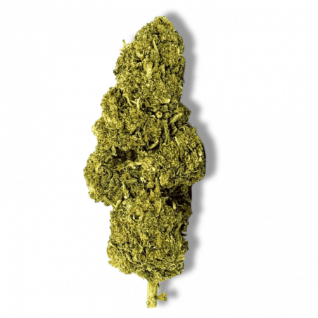 Fleur Delta NL1 La Frappe Premium | 25% | Fleur Delta NL1 La Frappe Premium | 25% |
