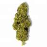 Fleur Delta NL1 La Frappe Premium | 25% | 