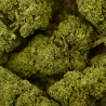 Fleur CBD BZ1 | 15% | Fleur CBD BZ1 | 15% |