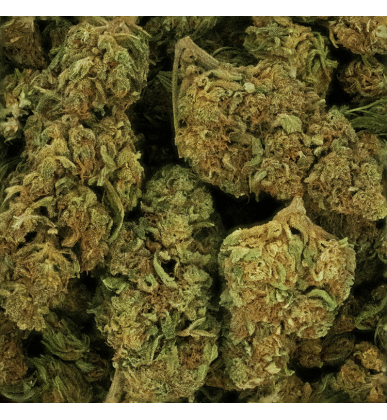 Fleur CBD Lemon Haze | 4% | 