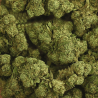 Fleur CBD Rainbow Kush | 12% | Fleur CBD Rainbow Kush | 12% |