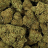 Fleur CBD Raspberry Haze Premium | 16% | Fleur CBD Raspberry Haze Premium | 16% |