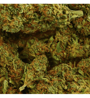 Fleur CBD Sherbet | 11% | 