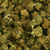 Fleurs CBD Small Buds Mix Indoor | 3% | Fleurs CBD Small Buds Mix Indoor | 3% |