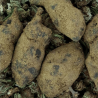 Moonrock CBD & CBN | 38% | 