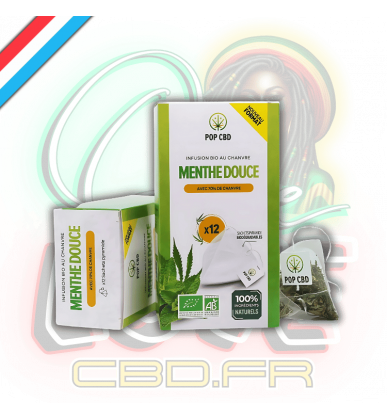 Tisane Chanvre BIO Menthe Douce x12 sachets | 70% | Pop CBD