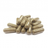 Gélules CBG Fungo Bien-être musculaire x30 | 25mg | Novaloa Gélules CBG Fungo Bien-être musculaire x30 | 25mg | Novaloa
