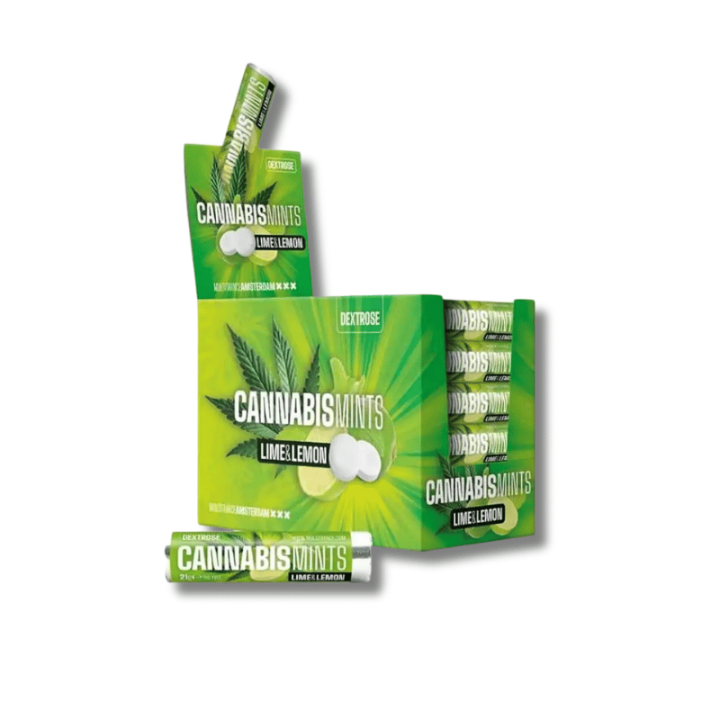 Bonbons Citron & Citron vert | Lot de 48x14 | Multitrance