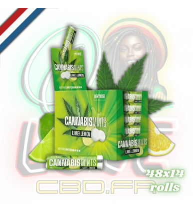 Bonbons Citron & Citron vert | Lot de 48x14 | Multitrance