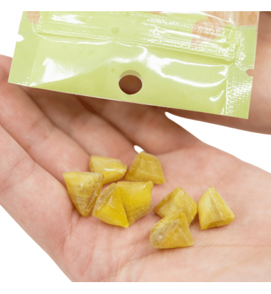 Bonbons CBD Gingembre | 3% | Novaloa