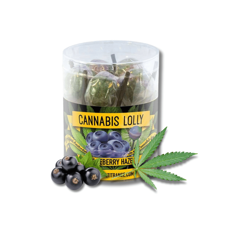 Sucettes Blueberry Haze x10 | Multitrance